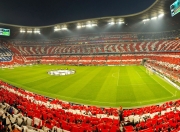 九游app下载-当三狮怒吼击碎北欧神话，国乒利剑亦灼热出鞘—坚韧，是跨越赛场的共同语言