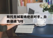 九游VIP-斯托克城客场绝杀对手，白鹿继续飞翔的简单介绍