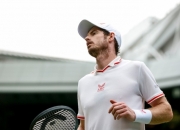 九游娱乐网站-戴维斯杯绝杀温网，穆雷高光表现的简单介绍