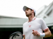 九游娱乐网站-戴维斯杯绝杀温网，穆雷高光表现的简单介绍