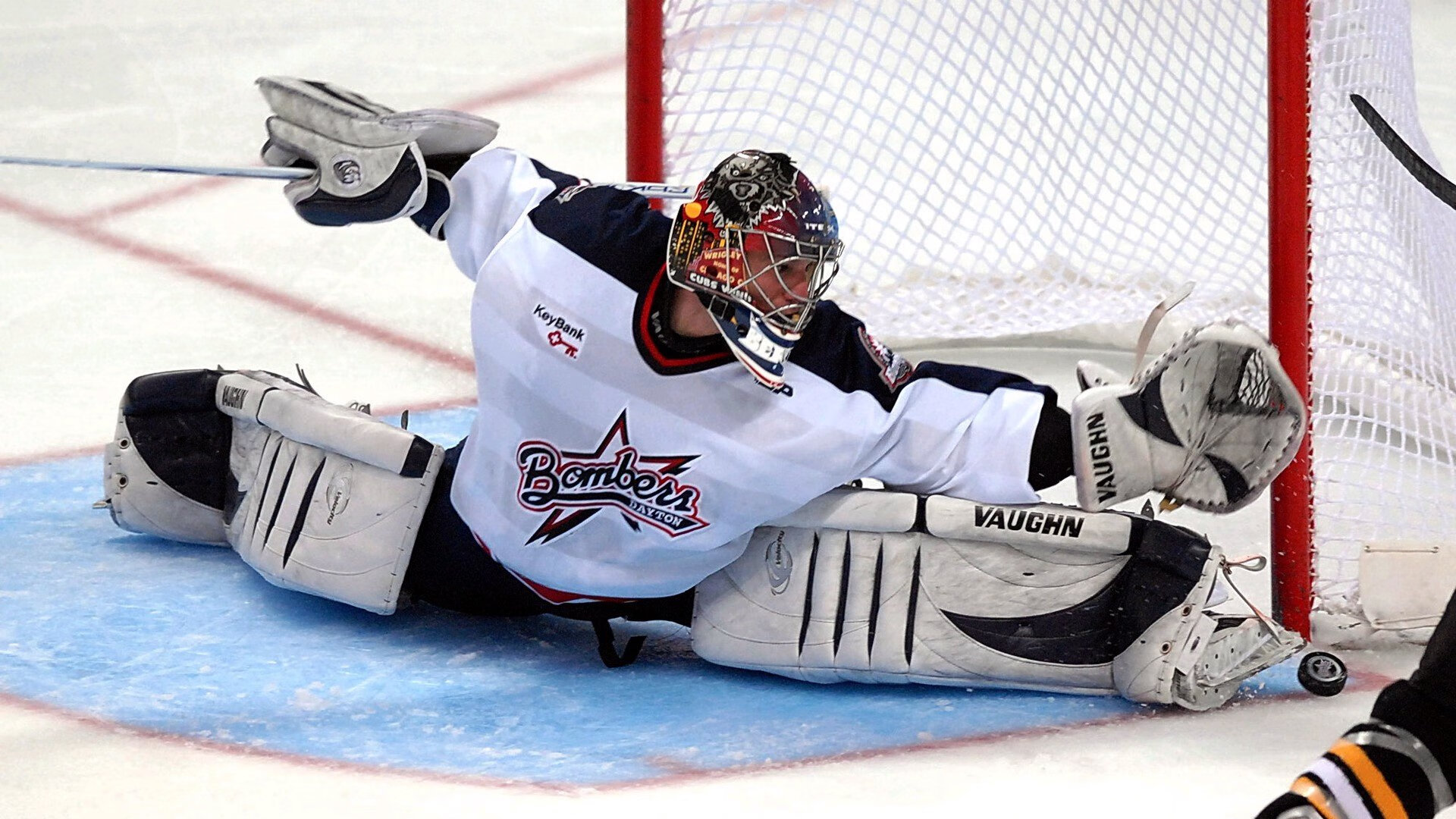 选项（供选择）